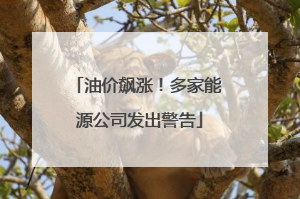 油价飙涨！多家能源公司发出警告