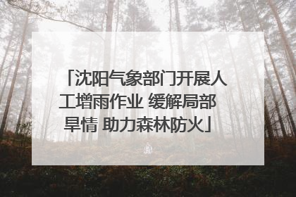 沈阳气象部门开展人工增雨作业 缓解局部旱情 助力森林防火