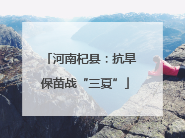 河南杞县：抗旱保苗战“三夏”