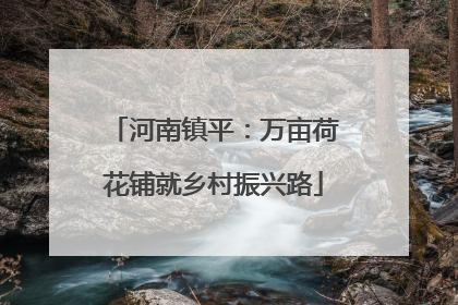 河南镇平：万亩荷花铺就乡村振兴路