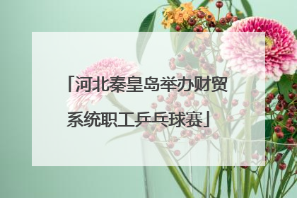 河北秦皇岛举办财贸系统职工乒乓球赛