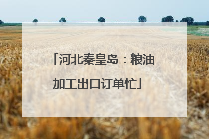 河北秦皇岛：粮油加工出口订单忙