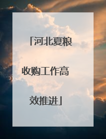 河北夏粮收购工作高效推进