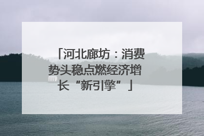 河北廊坊：消费势头稳点燃经济增长“新引擎”