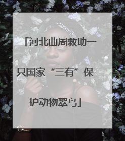 河北曲周救助一只国家“三有”保护动物翠鸟