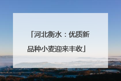 河北衡水：优质新品种小麦迎来丰收