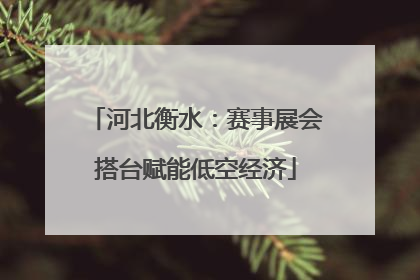 河北衡水：赛事展会搭台赋能低空经济