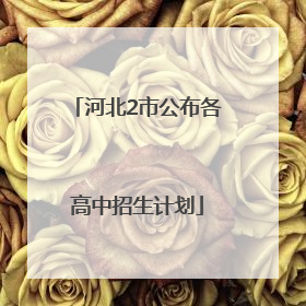 河北2市公布各高中招生计划