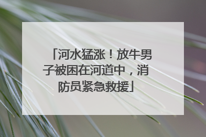 河水猛涨！放牛男子被困在河道中，消防员紧急救援
