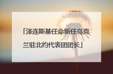 泽连斯基任命新任乌克兰驻北约代表团团长