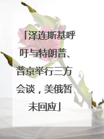 泽连斯基呼吁与特朗普、普京举行三方会谈，美俄暂未回应