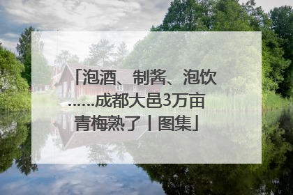 泡酒、制酱、泡饮……成都大邑3万亩青梅熟了丨图集