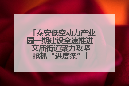 泰安低空动力产业园一期建设全速推进 文庙街道聚力攻坚抢抓“进度条”