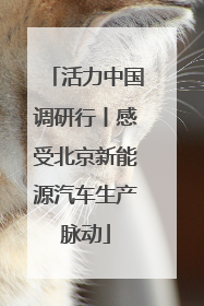 活力中国调研行丨感受北京新能源汽车生产脉动