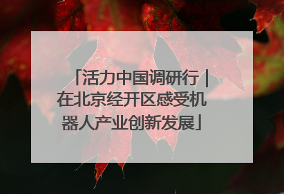 活力中国调研行｜在北京经开区感受机器人产业创新发展