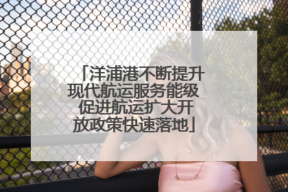 洋浦港不断提升现代航运服务能级 促进航运扩大开放政策快速落地
