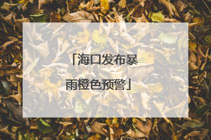 海口发布暴雨橙色预警
