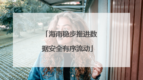 海南稳步推进数据安全有序流动