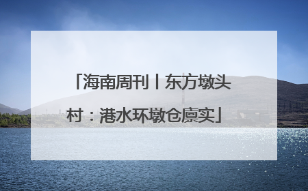 海南周刊丨东方墩头村：港水环墩仓廪实