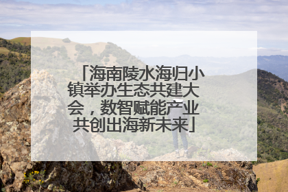 海南陵水海归小镇举办生态共建大会，数智赋能产业共创出海新未来