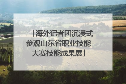 海外记者团沉浸式参观山东省职业技能大赛技能成果展