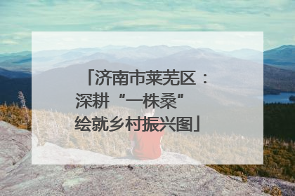 济南市莱芜区：深耕“一株桑” 绘就乡村振兴图