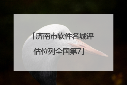 济南市软件名城评估位列全国第7