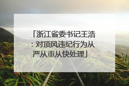 浙江省委书记王浩：对顶风违纪行为从严从重从快处理