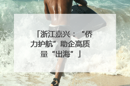 浙江嘉兴：“侨力护航”助企高质量“出海”