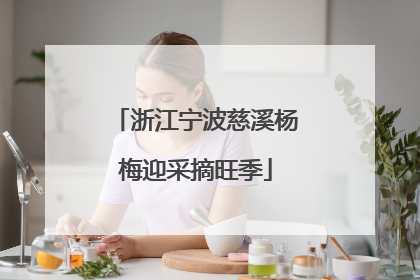 浙江宁波慈溪杨梅迎采摘旺季