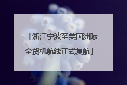 浙江宁波至美国洲际全货机航线正式复航