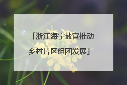 浙江海宁盐官推动乡村片区组团发展