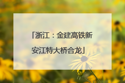 浙江：金建高铁新安江特大桥合龙