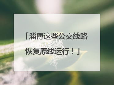 淄博这些公交线路恢复原线运行！