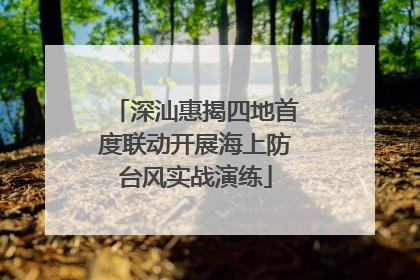 深汕惠揭四地首度联动开展海上防台风实战演练