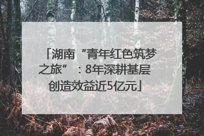 湖南“青年红色筑梦之旅”：8年深耕基层创造效益近5亿元