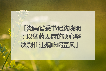 湖南省委书记沈晓明：以猛药去疴的决心坚决刹住违规吃喝歪风