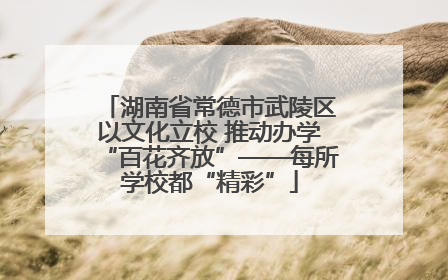 湖南省常德市武陵区以文化立校 推动办学“百花齐放”——每所学校都“精彩”