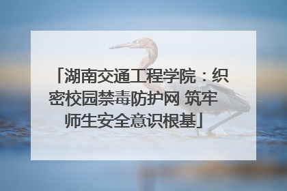 湖南交通工程学院：织密校园禁毒防护网 筑牢师生安全意识根基