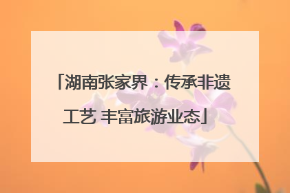 湖南张家界：传承非遗工艺 丰富旅游业态