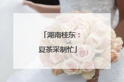 湖南桂东：夏茶采制忙