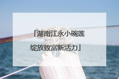 湖南江永小碗莲绽放致富新活力