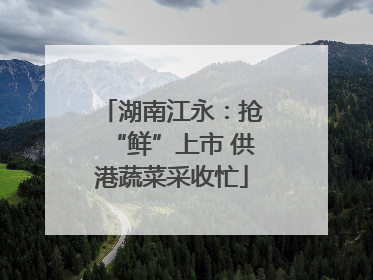 湖南江永：抢“鲜”上市 供港蔬菜采收忙