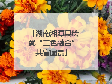 湖南湘潭县绘就“三色融合”共富图景