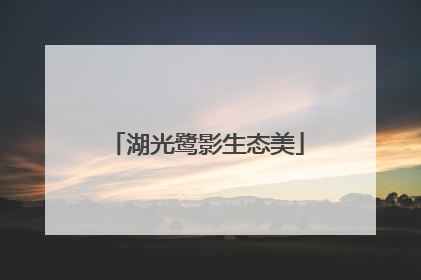 湖光鹭影生态美