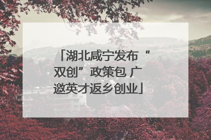 湖北咸宁发布“双创”政策包 广邀英才返乡创业