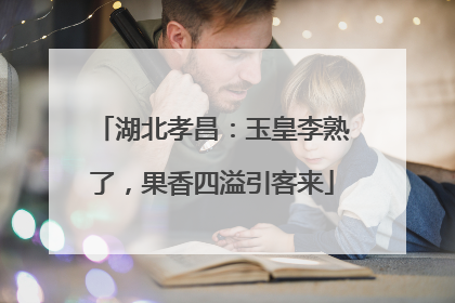 湖北孝昌：玉皇李熟了，果香四溢引客来