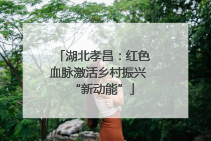 湖北孝昌：红色血脉激活乡村振兴“新动能”