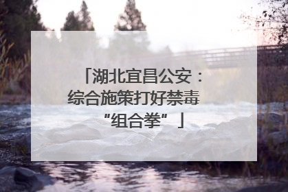 湖北宜昌公安：综合施策打好禁毒“组合拳”