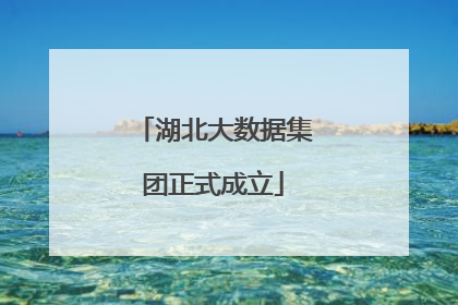 湖北大数据集团正式成立